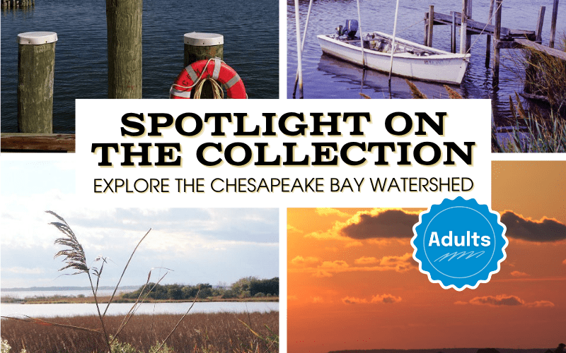 image for Spotlight on the Collection: Explore the Chesapeake Bay Watershed