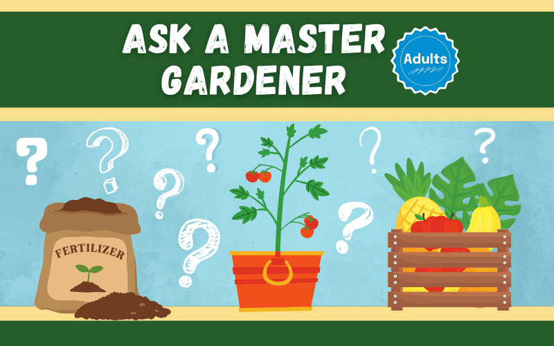 image for Ask a Master Gardener Info Table