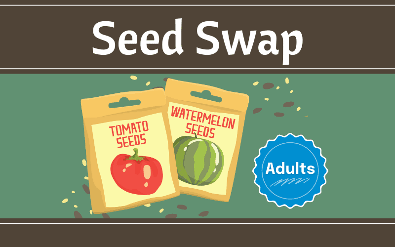 image for Seed Swap