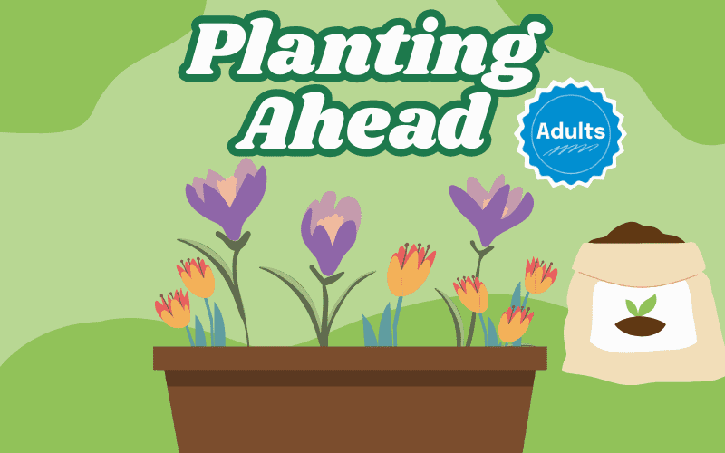 image for Planting Ahead: Welcome Spring with Beautiful Flowers