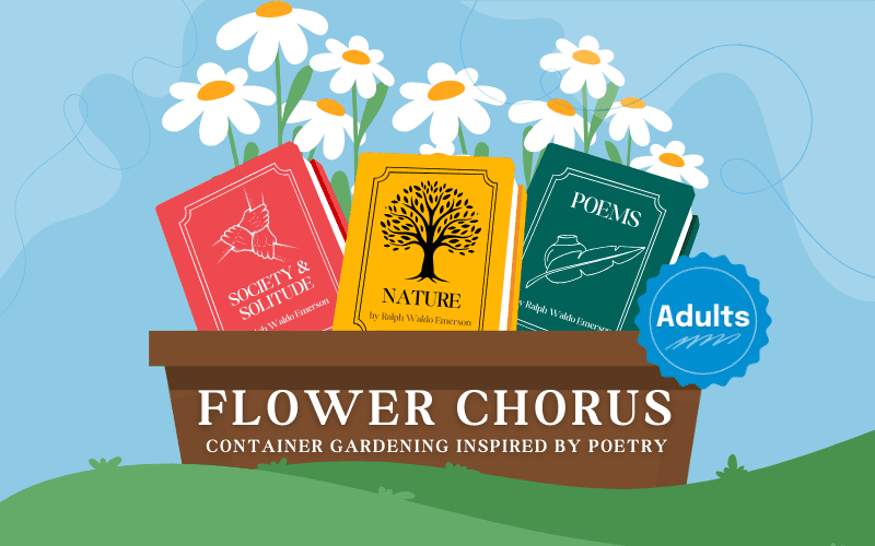 image for Flower Chorus