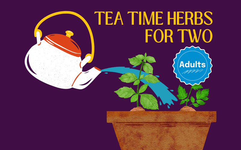 image for Tea Time Herbs for Two: Plant a Relaxing Container Garden
